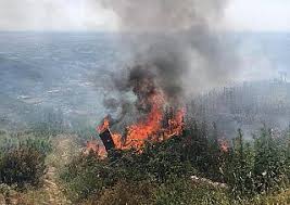 Ad andare in fiamme il tetto di un palazzo all'angolo tra via costanza e via washington. Incendio Sul Monte Serra Volontari Al Lavoro Cronaca Calci