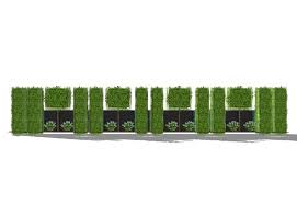 Pin Auf Garten Ideen