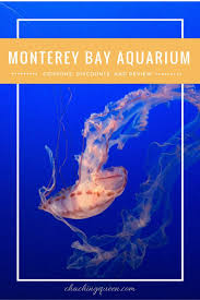 2020 Monterey Bay Aquarium Coupons Discounts Free Tickets Review Monterey Bay Aquarium Monterey Bay Monterey