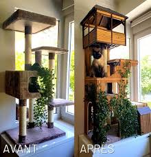 Diy Arbre A Chat Personnalise En Bois A Faire Soi Meme Arbre A Chat Arbre Diy Arbre A Chat