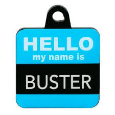Pet touch id tags are unique in that you have many ways to identify the pet and owner. Tagworks Hello My Name Is Personalized Pet Id Tag Pet Id Tags Pet Id Personalized Dog Tags