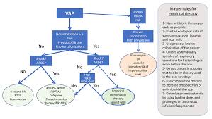 We reviewed the literature on the effectiveness of ventilator care bundles in critically ill children. Update On Ventilator Associated Pneumonia F1000research