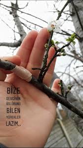 Aysebetul Adli Kullanicinin Wunderbar Panosundaki Pin 2020 Dogum Sozleri Bff Sozleri Ilham Verici Sozler