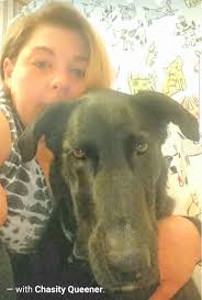 Boo and Wrath in Black Dagger Brotherhood