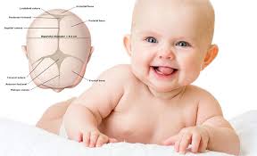 ✓ wann schließt sich die große fontanelle? Dellen Und Beulen Am Kopf Von Babys Wie Funktioniert Com