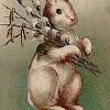 It is commonly used to represent real and fictional rabbits and bunnies, spring, and easter. 1