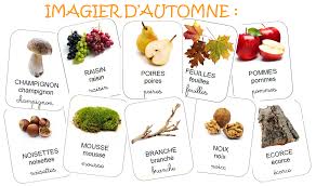Automne Activite Automne Automne Theme Automne