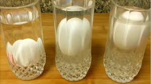 تجربة البيضة والماء المالح تجارب وعلوم أحبتي الصغار Youtube