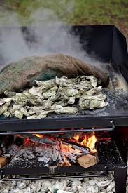 Pin By Susan Able On Oyster Obsession Oyster Roast Oysters Oyster Roast Party