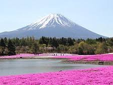 Mount Fuji From Where To View Mount Fuji