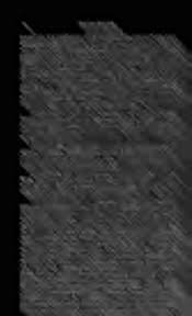 Image result for Nesaea passerinoides