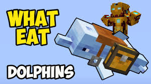 What Do Dolphins Eat In Minecraft? 1.14.4 - Youtube