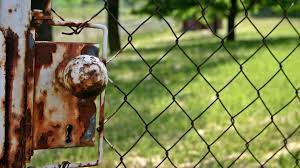 Löcher im rasen durch ratten erkennt man an der größe und lage. Locher Im Rasen Das Konnen Sie Tun Focus De