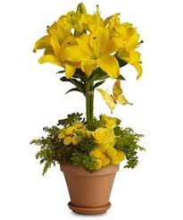 This ensures exceptional product quality and competitive pricing. 25 Easter Spring Bouquets Ideas Easter Flowers Flowers Spring Bouquet