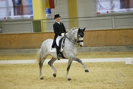 Check spelling or type a new query. Pferd Sport Zucht Und Sport In Schleswig Holstein Und Hamburg Holsteiner Zucht Artikel