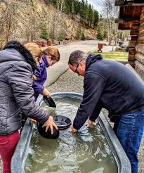 Crystal gold mine & rv park. 9 Things To Do With Kids In Kellogg Wallace Idaho Where To Stay Eat Thrifty Nw Mom