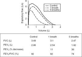 Image result for Lung Volume