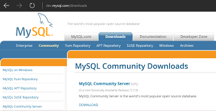 También puede descargarse la versión zip archive. How To Install Configure Mysql On A Windows Server