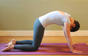 Marjarasana Bitilasana Cat Cow Yoga Warmup Pose