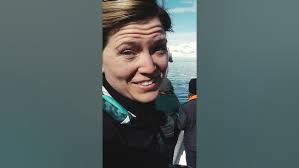 Curious Killer Whales