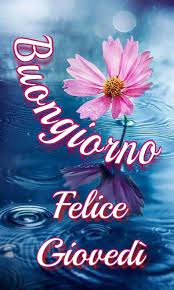 10 giugno 2021 di admin. 28 Buon Giovedi Ideen Grusse Italienische Grusse Buongiorno