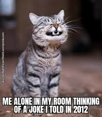 Dopl3r com memes saturday night sunday night. Cat Laughing 9gag