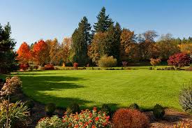 Knowing the perfect time to put down your grass seed (or sod) is going to be critical in getting that healthy, beautiful lawn you've been lookin' for. The Best Time To Plant Grass Seed