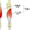 마법과 고교 열등생 ss권 pdf arin. Https Encrypted Tbn0 Gstatic Com Images Q Tbn And9gcrfnxzvwgrit9at5f77omruslx1 J72 Omyojbxsga Usqp Cau