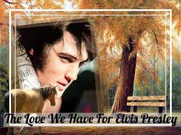 Elvis Presley Lovers