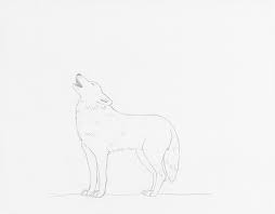 Wolf and moon drawing at getdrawings | free download. Learn How To Draw A Wolf Howling At The Moon Step By Step