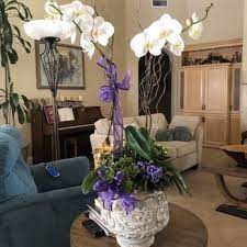 Check spelling or type a new query. Flowers By Peter Perkens Flowers 63 Photos 46 Reviews Florists 1420 W Center Ave Visalia Ca Phone Number Products Yelp