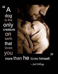 Pin By J R On Inspiration Dog Love Dog Quotes I Love Dogs