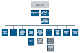 Dpcpsi Organizational Chart