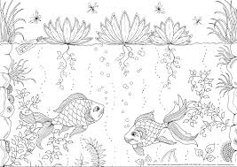 Pin On Adult Colouring Pages