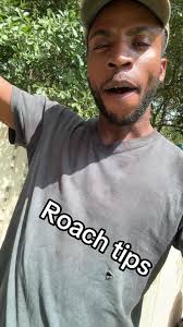 How to Take Down Dragon Roaches