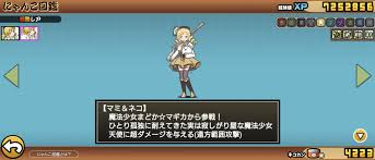にゃんこ マミ