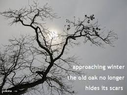 Winter Is Coming Haiku Poetry Japanese Haiku Haiku Poems