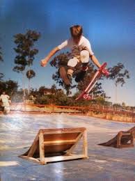 Image result for Vert 1987 UMM