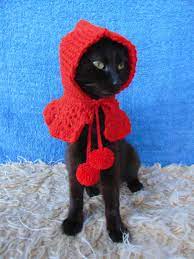 Little Red Riding Hood Cat Costume Halloween Pet Costume Cat Etsy Crochet Pet Costumes Cat Halloween Costume Pet Pet Halloween Costumes