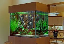 Home Decoration Fish Aquarium As Home Partition Aquarium Design Ideas House Picture Aquarium Fish Tank Design Aquarium Design