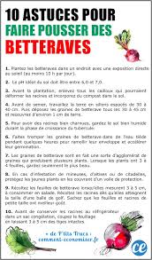 10 Astuces De Maraicher Pour Faire Pousser De Belles Betteraves En 2020 Potager Maraicher Betterave