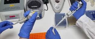 Resultat d'imatges de ncfcccd catalunya