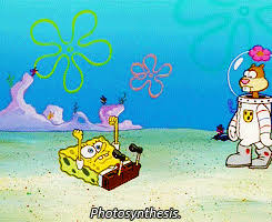 She is voiced by carolyn lawrence. Top 30 Sandy Cheeks Muscle Growth Gif Nahodi Luchshie Gif Na Gfycat