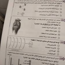 تحميل نماذج امتحان الاحياء للصف الثاني الثانوي الترم الأول 2021، وذلك عقب إعلان وزارة التربية والتعليم والتعليم الفني عن مواعد إجراء. 6kj8vnzy8dsxfm
