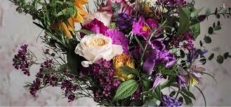 Maybe you would like to learn more about one of these? Cherry Hill Flowers Johnston Ri Flower Delivery 401 231 5666
