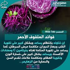 فوائد الملفوف الأحمر Vegetables Cabbage Food