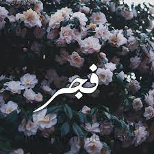 صور اسم ف ج ر قاموس الأسماء و المعاني