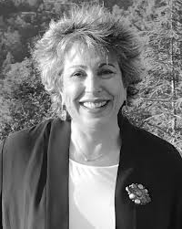 About Artist Lisa Gunn