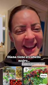 Agro Felipe/Vivero Aliari, Parita Herrera, whatsaap 63384406 Le esperamos  de Lunes a Sábados de 8:30am a 5:00pm. whatsaap 63384406 Parita