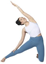 Parighasana Variation Gate Pose Home Yoga Practice Types Of Yoga Yoga Poses